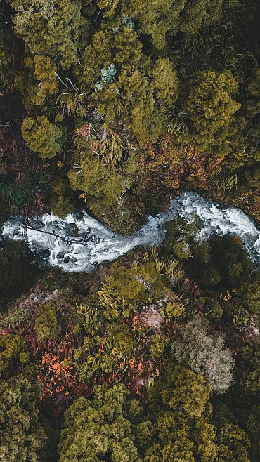 Nature Image 4
